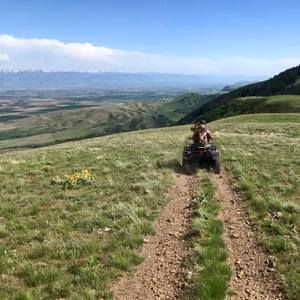 Meet your Posher, Donovan